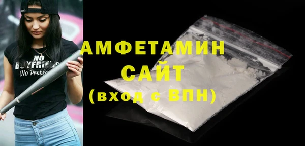 сатива Кулебаки