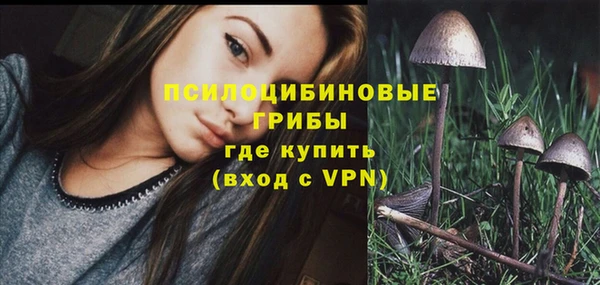 ешки Кукмор