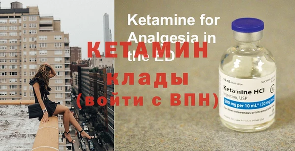 сатива Кулебаки