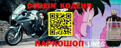 прущие грибы Кандалакша