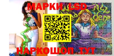 прущие грибы Кандалакша