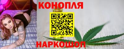 прущие грибы Кандалакша