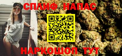 прущие грибы Кандалакша