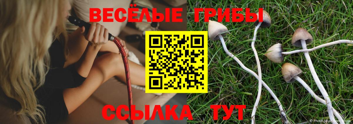 Лесосибирск  Псилоцибиновые грибы ЛСД  Вход с VPN 